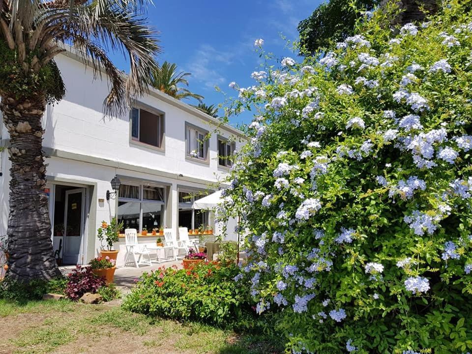Hotel Puerto Las Palmas Punta del Este Exteriör bild